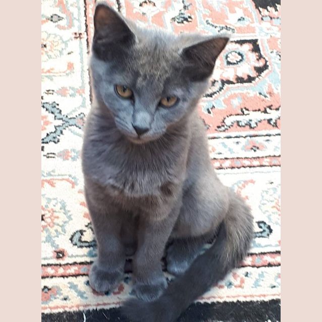 Photo of Posh