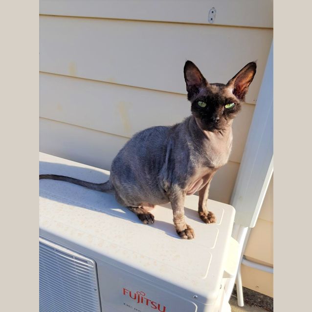 Photo of Fuzzypants