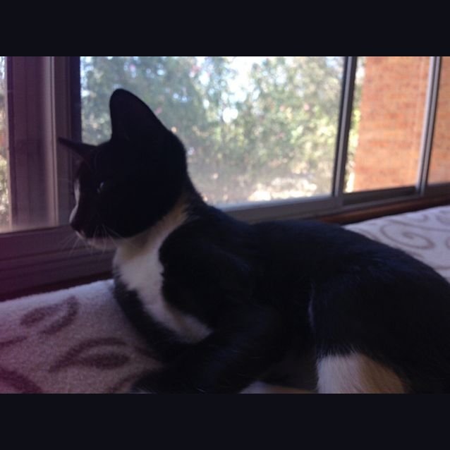 Photo of Buckley