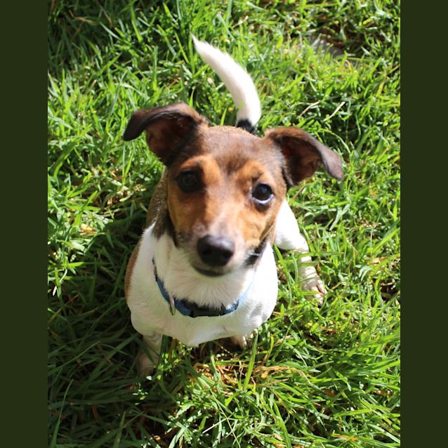 Photo of Charlie