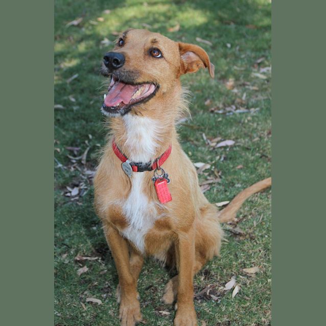 Photo of **On Trial** Dora