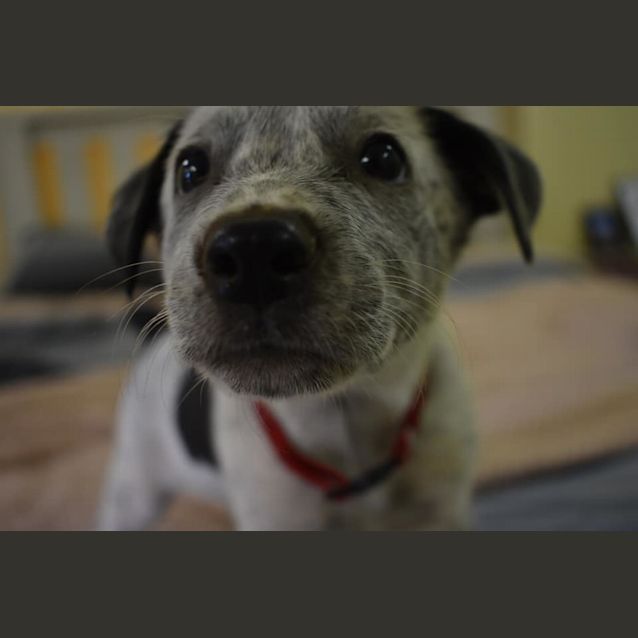 Photo of Mike