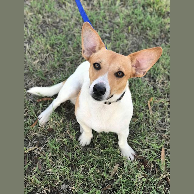 Photo of Buster 