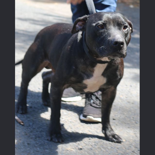 Photo of Buster