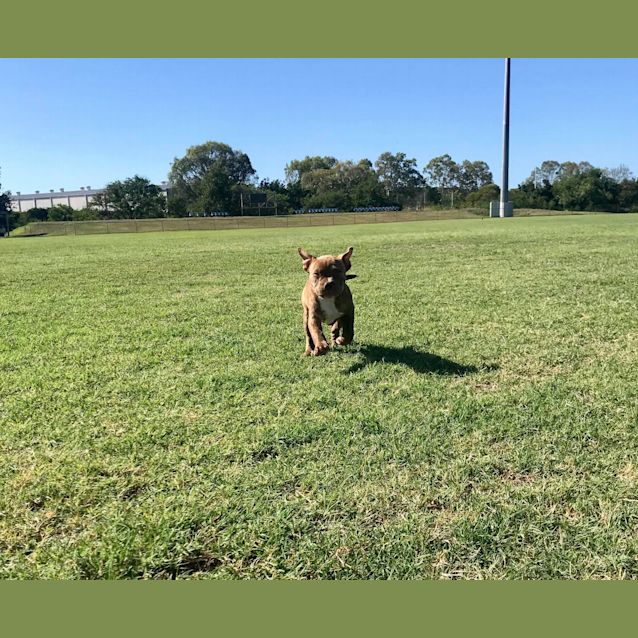 Photo of Harlow 