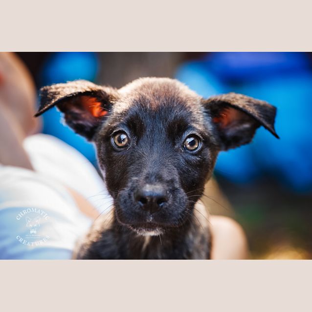Photo of Tater