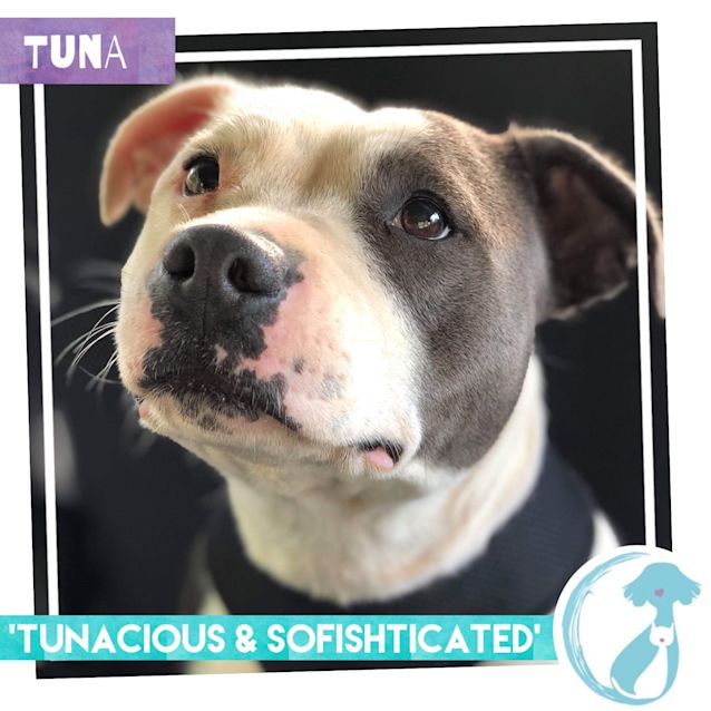 Photo of Tuna 