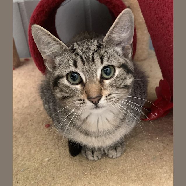 Photo of Ernie