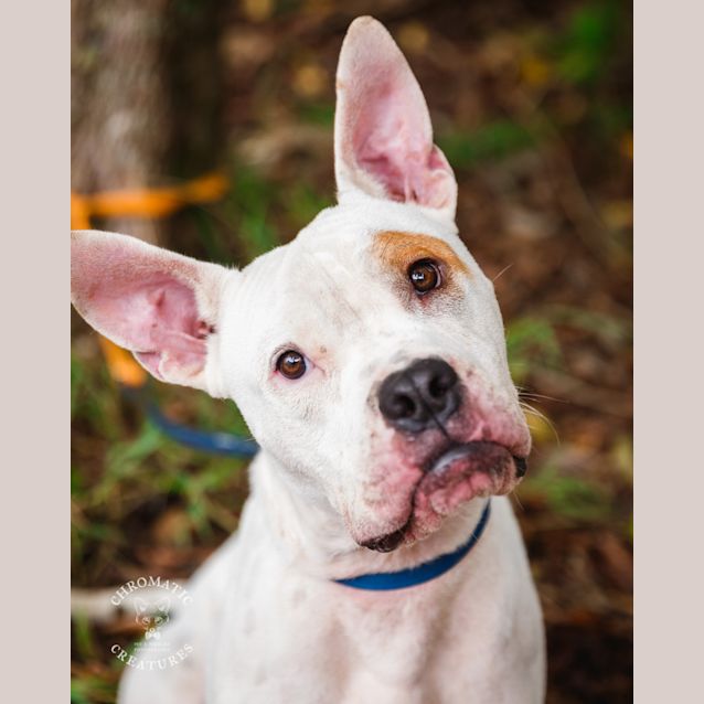 Photo of Benny