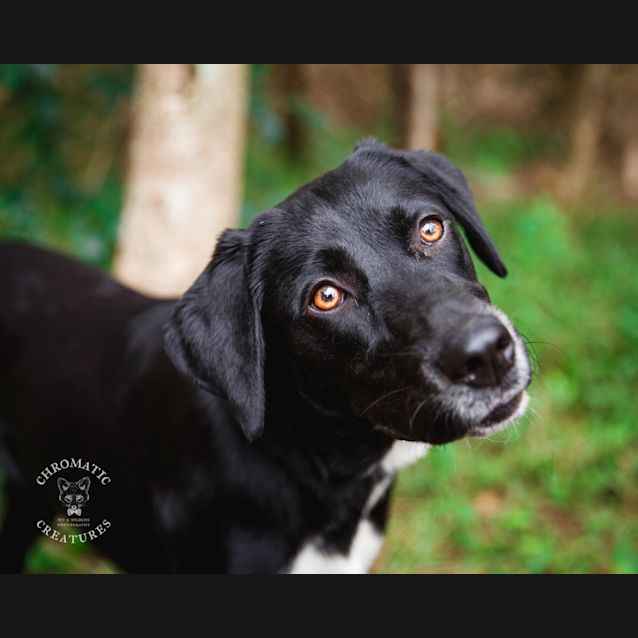 Photo of Sora