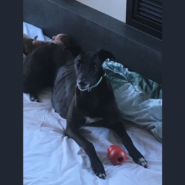 Photo of Pammy