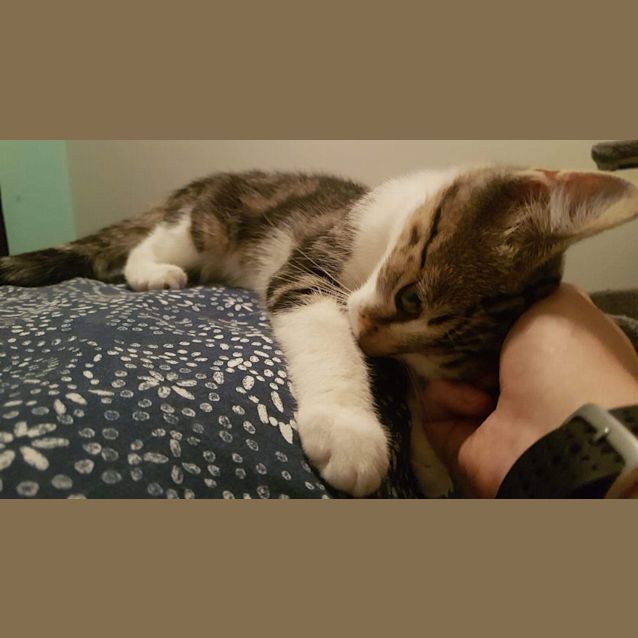 Photo of Elliot