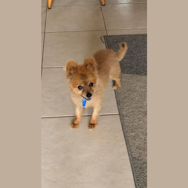 Photo of Teddy