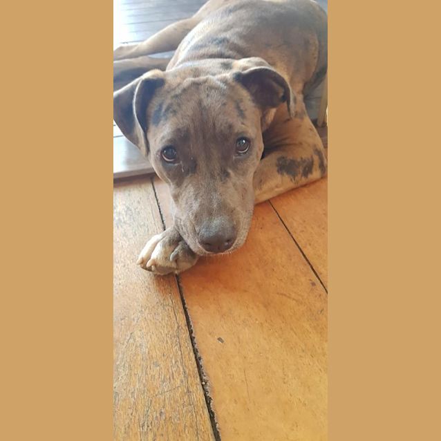 Photo of Lexi