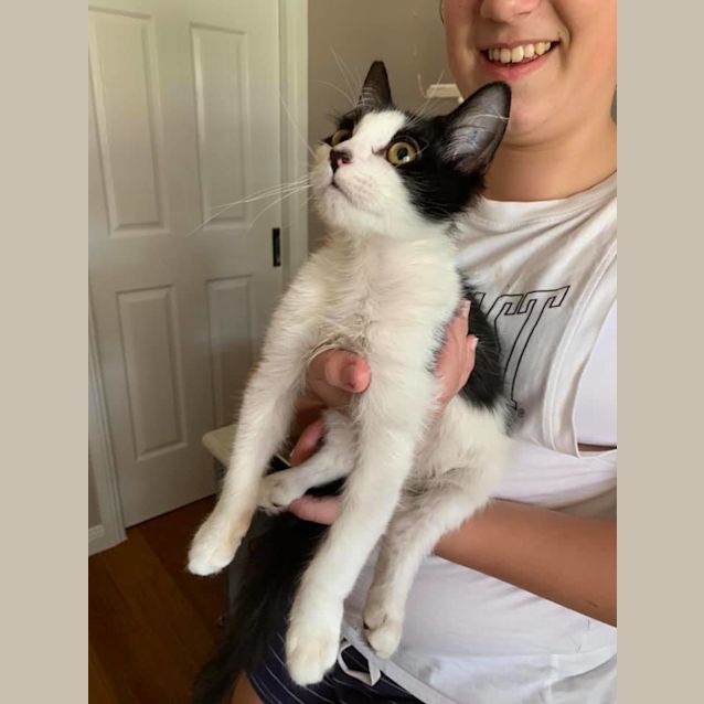 Photo of Linus