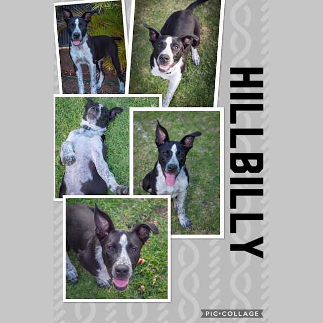 Photo of Billy