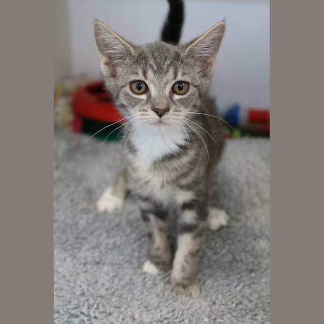 Photo of Storm