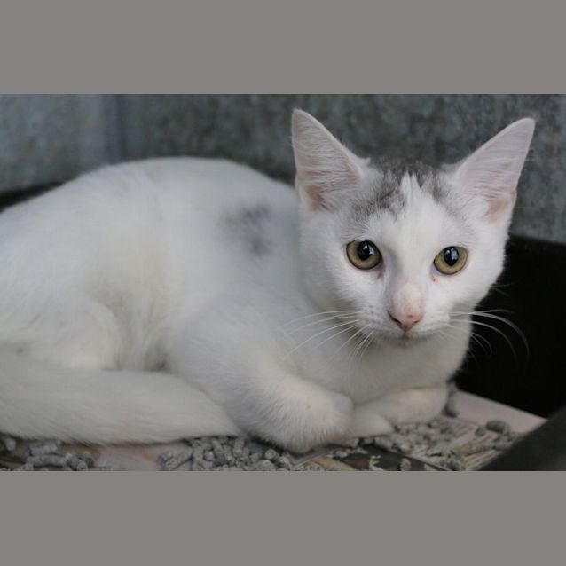 Photo of Elsa