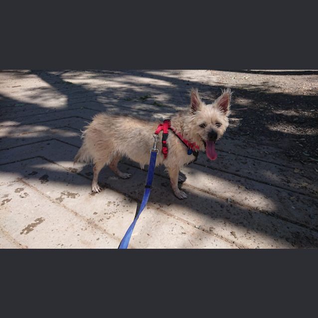 Photo of Jenky 