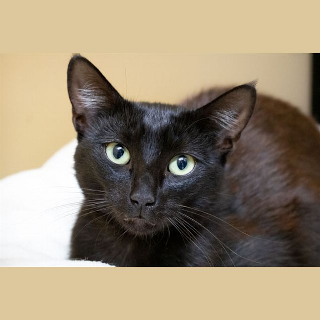 Photo of Polly