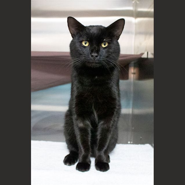 Photo of Roscoe