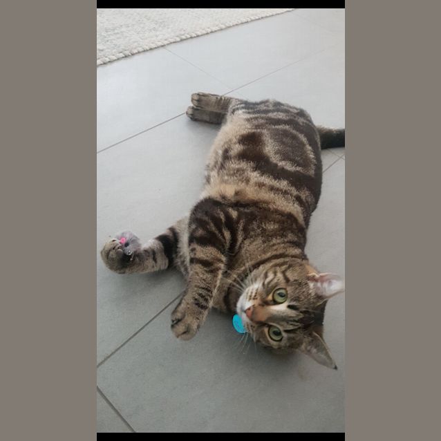 Photo of Chloe