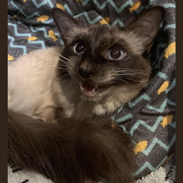 Photo of Miss Gina
