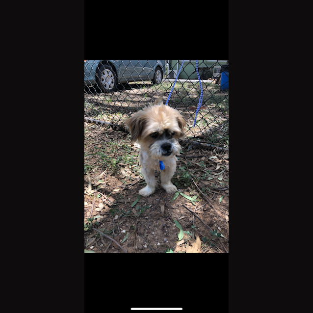 Photo of 1134 Yellow