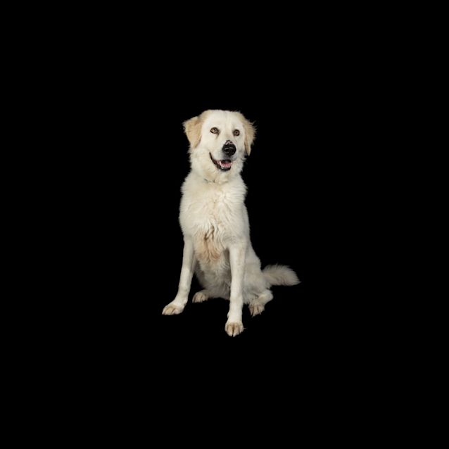 Photo of Lilly