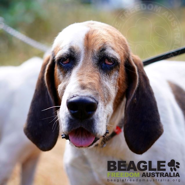 Photo of Lottie And Maisie