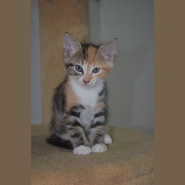 Photo of Boey 