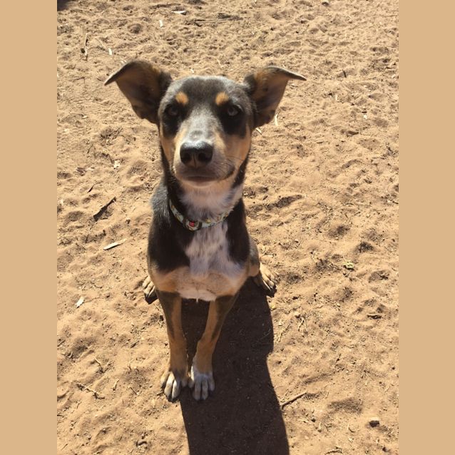 Photo of Annie
