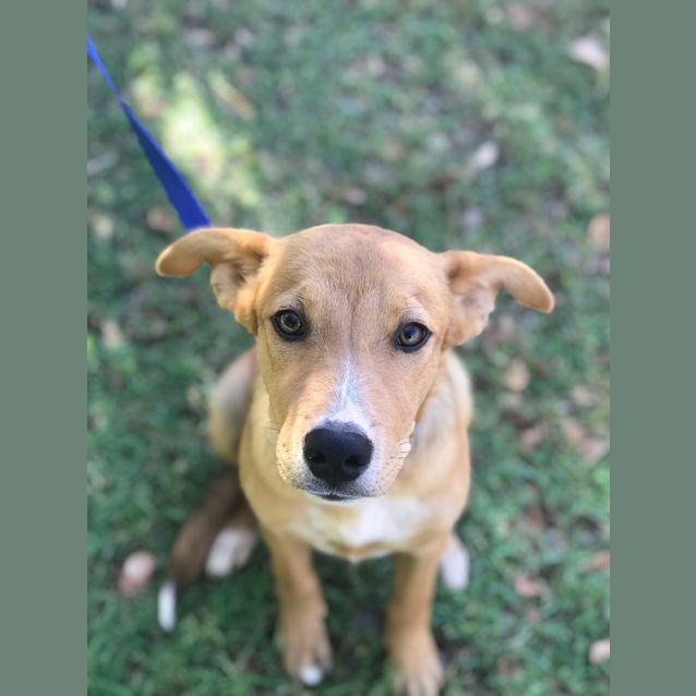 Photo of Gus 