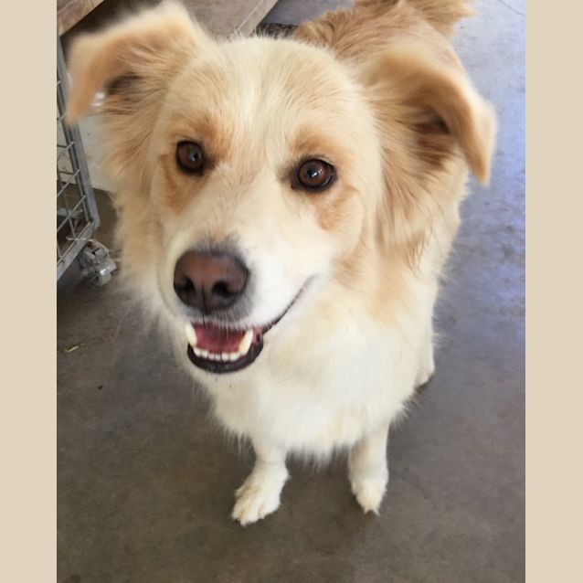 Photo of Shelby And Aston