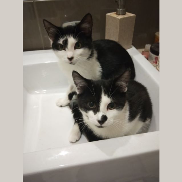 Photo of Jane Austen