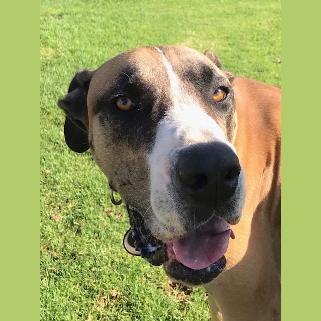 Photo of George *On Trial In His New Home*