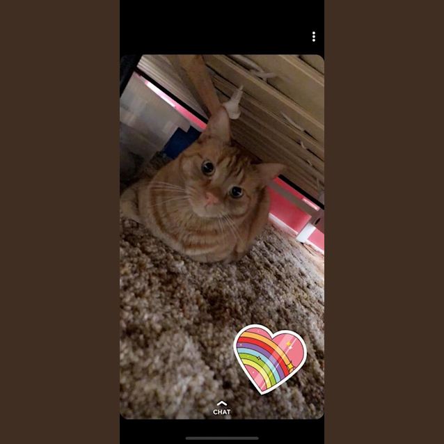 Photo of Ginger Meggs 