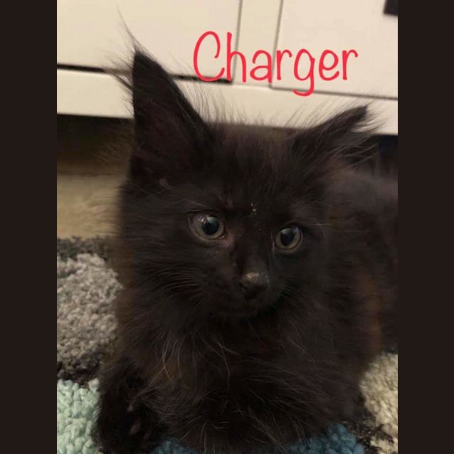 Photo of Charger
