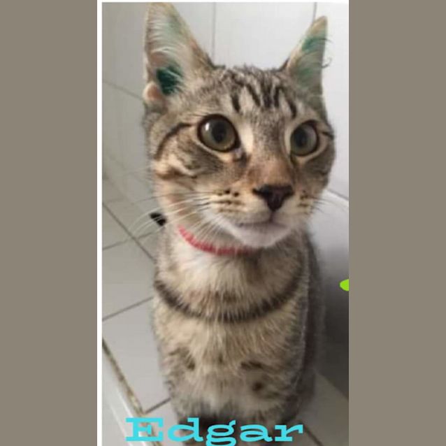 Photo of Edgar