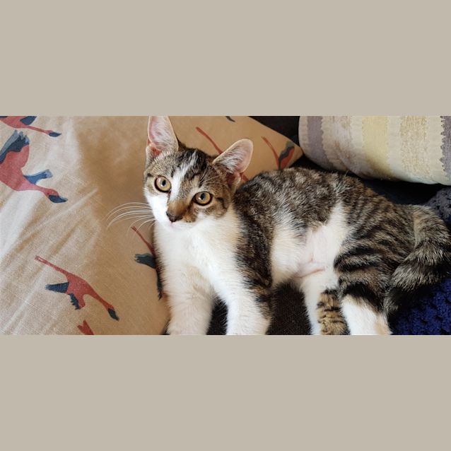 Photo of Fleur (Now Zelda)