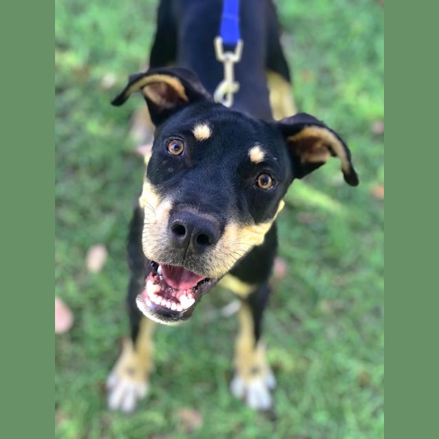 Photo of Neo