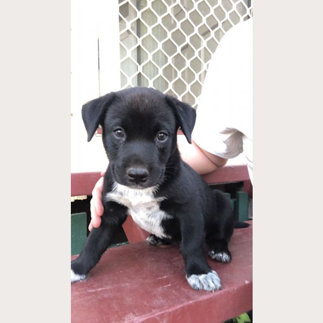 Photo of Oakley 