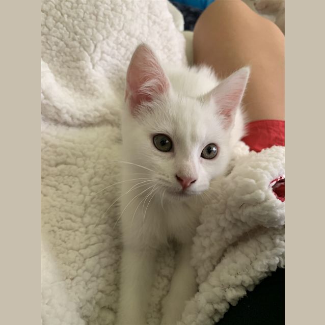 Photo of Yuki Now Yugi