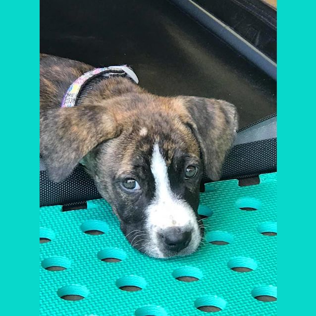 Photo of Jada