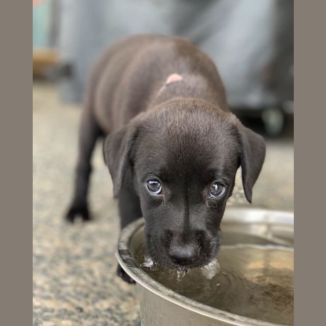 Photo of Solo 