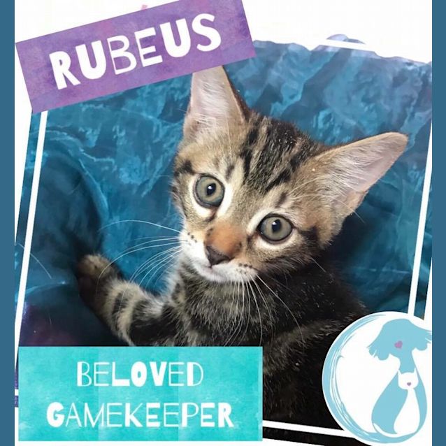 Photo of Rubeus