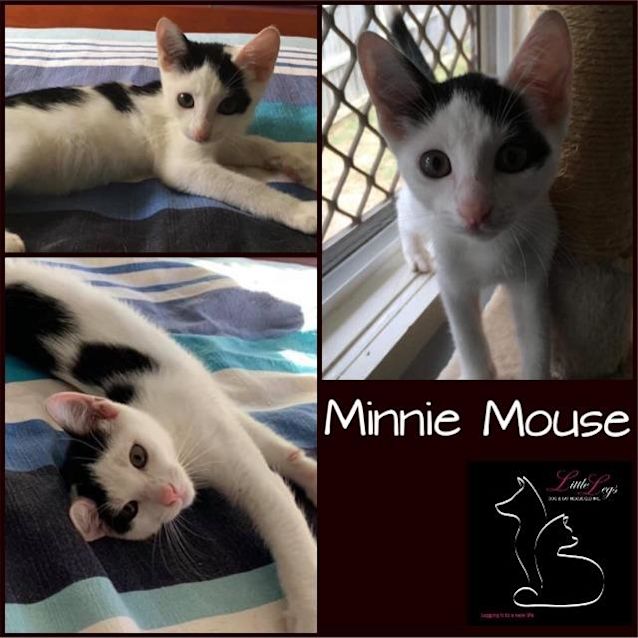 Photo of Minnie Mouse