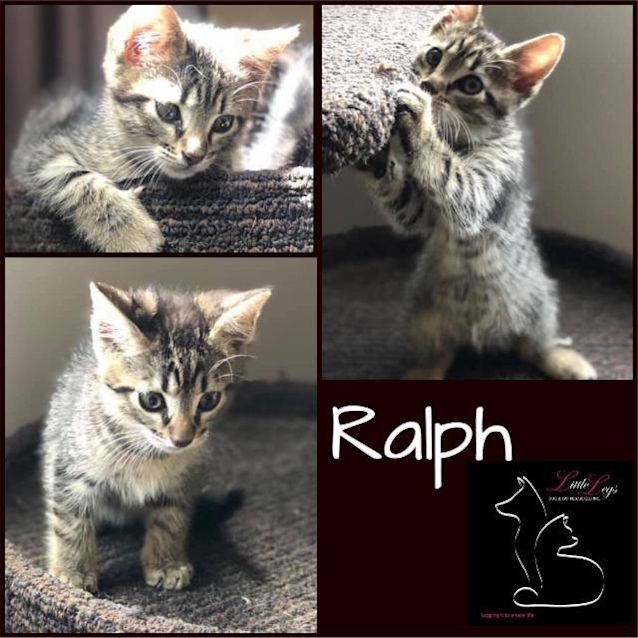 Photo of Ralph