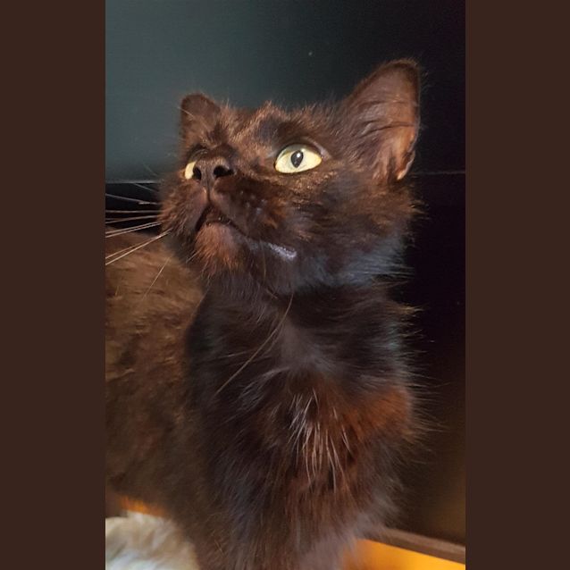 Photo of Zeva