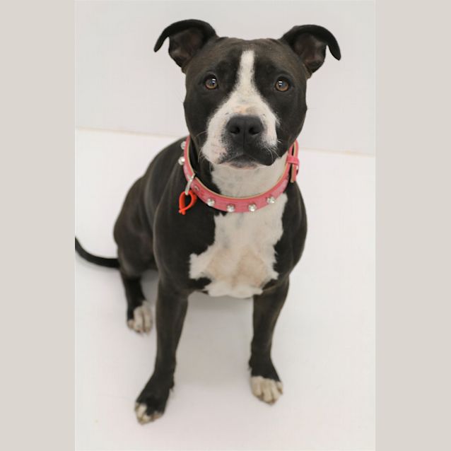 Photo of Zena